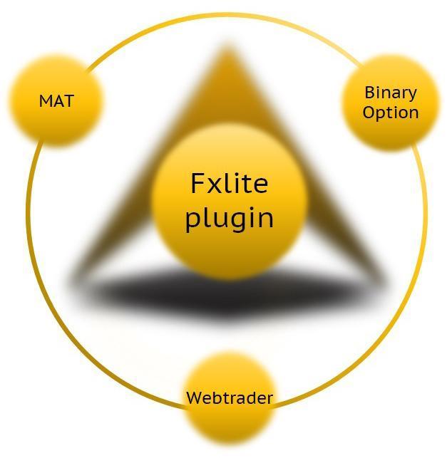 Fxlite Plugin For Metatrader 4 And Metatrader 5 A Unique Software - 